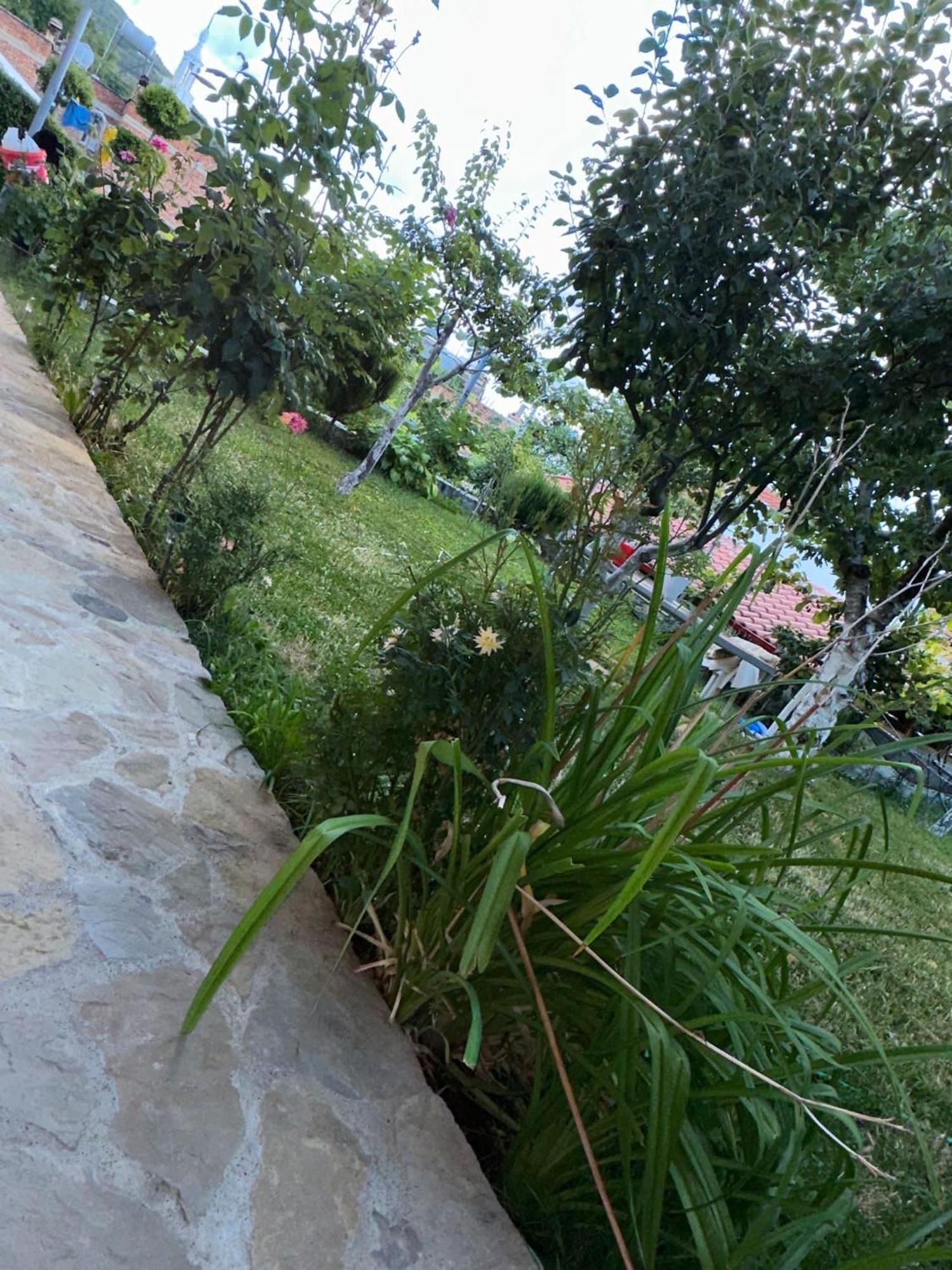 Gardenhouse Villa Memlishte Exterior photo